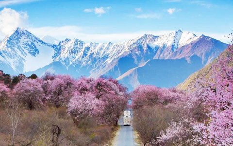 Best Time to Visit Nyingchi: Nyingchi weather, climate and tour highlights in different month