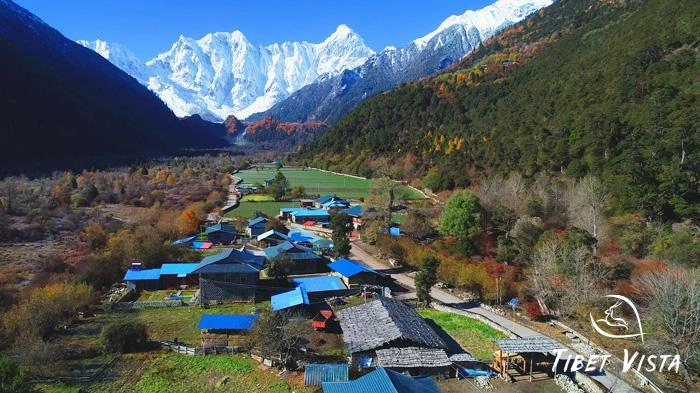Zhuxi Glacier in Bomi County