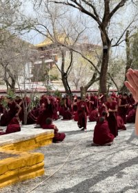 Traveler photo: A guest watches monks debate for the first time, captivated by the monks' vivid expressions and sharp hand-claps. (April 2026)