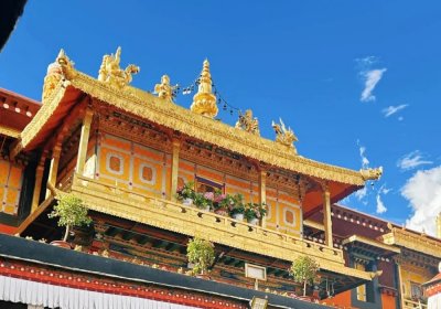 Traveler photo: Beneath the blue sky, Jokhang Temple's golden roofs shine brightly — Lhasa's most eye-catching sight. (April 2026)