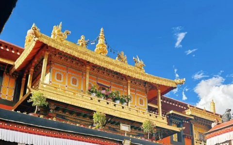 Traveler photo: Beneath the blue sky, Jokhang Temple's golden roofs shine brightly — Lhasa's most eye-catching sight. (April 2026)