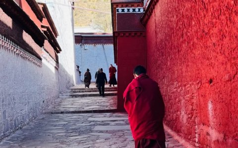 Traveler photo:  In a narrow Lhasa lane, a red-robed monk walks swiftly, as if rushing to his next practice. (April 2026)