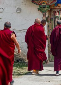 Traveler photo: The monks were on their way back to the temple. (April 2025)