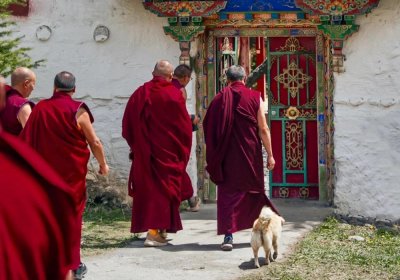 Traveler photo: The monks were on their way back to the temple. (April 2025)