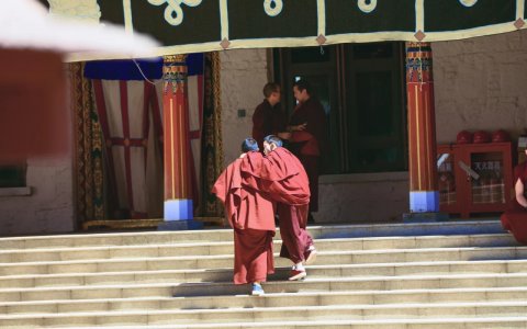 Traveler photo: Two red-robed monks climb the stairs side by side, their crimson robes glowing vividly in the sunlight. (April 2026)