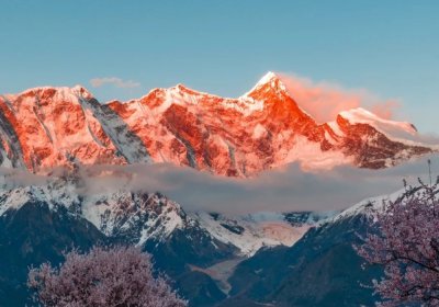 Traveler photo: Clear view of Mount Namcha Barwa, framed by the pink peach blossom in early spring in Nyingchi. (April 2026)	