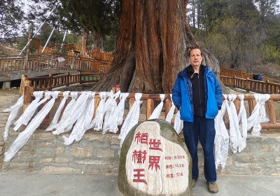 Traveler photo: Enjoy an eastern Tibet tour in Nyingchi in spring is a great time to admire the peach blossoms and lush forest. (April 2026)	