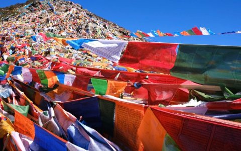 Traveler photo:  Looking up, blue sky and prayer flags intertwine—the most common yet most touching scene in Tibet. (April 2026)