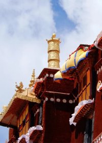Traveler photo: The golden roof of Tibetan monasteries showcases a unique architectural style. (April 2026)