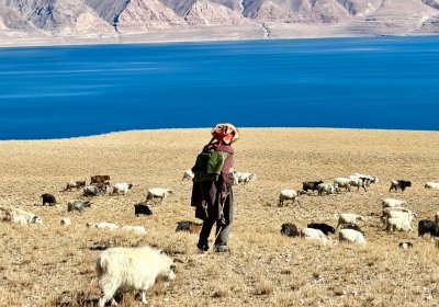 Traveler photo: Local Tibetan with sheep along the shore of Yamdrok lake, one of the must-visit attraction on the way from Lhasa to Shigatse. (April 2026)	