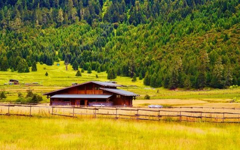Traveler photo: Green grasslands and lush forests are typical summer scenery in Nyingchi. (August 2026)