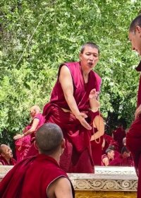 Traveler photo: In Sera Monastery's debating courtyard, red-robed monks engage in lively debates, with claps and questions echoing around. (August 2026)