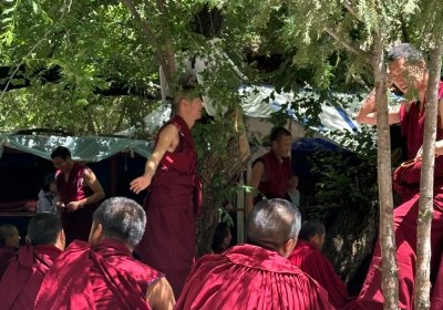 Traveler photo: Red-robed monks engage in passionate debates under Sera Monastery's trees in Lhasa. (August 2025)