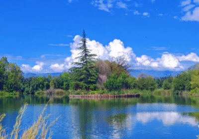 Traveler photo: In summer, Tibet's lakes glow clear blue, surrounded by lush green forests—a refreshing and pleasant view. (August 2026)