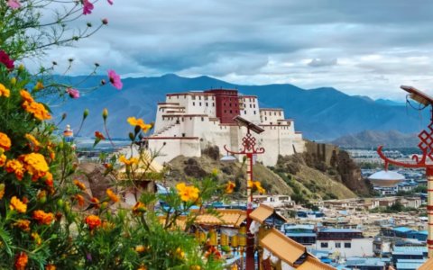 Traveler photo: A magnificent view of Shigatse Dzong from Tashilhunpo Monastery. (August 2025)