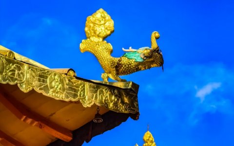 Traveler photo: The finely crafted roof of Norbulingka, showcasing exquisite craftsmanship. (August 2025)