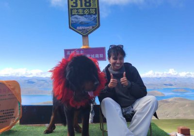 Traveler photo: On the way from Lhasa to Mount Everest, you will have a lot of opportunities to take pictures with Tibetan mastiffs. (August 2026)	