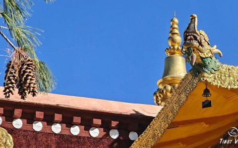 Traveler photo: Under the blue sky of Jokhang Temple in Lhasa, Tibet, the resplendent golden roof shines with sacred radiance. (December 2025)