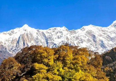 Traveler photo: Under the clear skies of Nyingchi, Tibet, the triangular peak of Mount Namcha Barwa is distinctly visible. (December 2025)