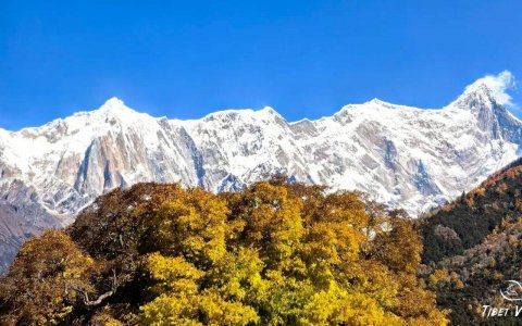 Traveler photo: Under the clear skies of Nyingchi, Tibet, the triangular peak of Mount Namcha Barwa is distinctly visible. (December 2025)