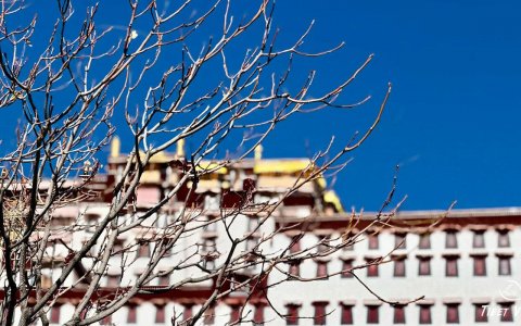 Traveler photo: Under the azure sky of Lhasa, Tibet, Potala Palace stands majestically on Marpori Hill, showcasing the solemnity of the snowy sanctuary. (December 2025)