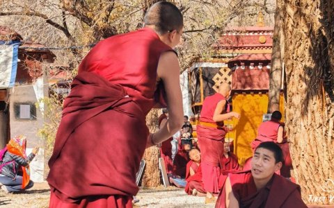 Traveler photo: Under thousand-year-old trees at Sera Monastery in Lhasa, red-robed monks explore Buddhist truths through traditional debate methods. (December 2025)