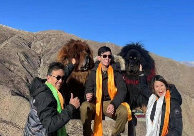 Traveler photo: Take pictures with the cute Tibetan mastiffs is one of the highlights on your way from Lhasa to Shigatse. (December 2025)	