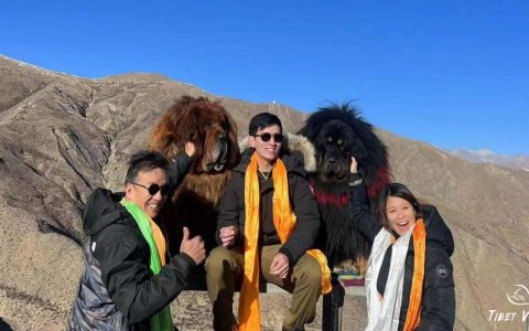 Traveler photo: Take pictures with the cute Tibetan mastiffs is one of the highlights on your way from Lhasa to Shigatse. (December 2025)	