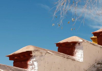 Traveler photo: Exploring the Tibetan monastery is a great way to learn about Tibetan tradition and culture. (December 2025)	