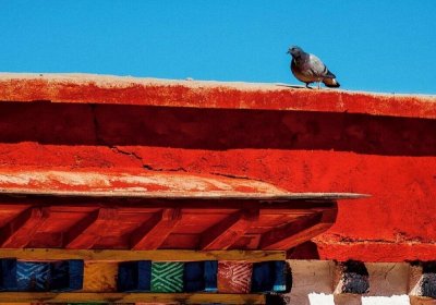 Traveler photo: Exploring the Tibetan monasteries not only helps you learning Tibetan culture and tradition but also a great place to take photos. (December 2025)