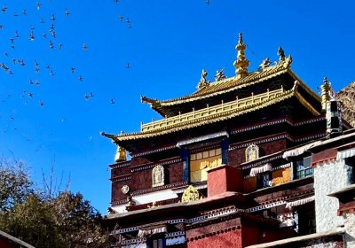 Traveler photo: Under blue skies of Shigatse, Tibet, Tashilhunpo Monastery's crimson walls and golden roofs gleam with solemn radiance in plateau sunlight. (February 2026)