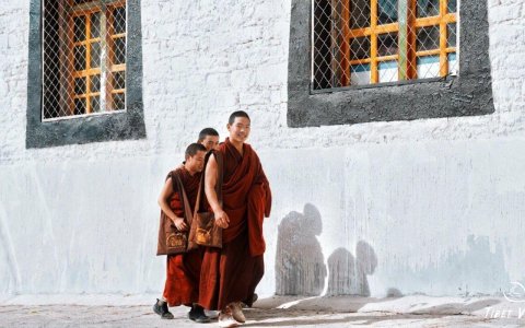 Traveler photo: Tibetan monks in red robes are heading to the debate yard and prepare for the famous monks debate in Sera monastery. (February 2026)	