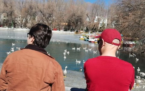 Traveler photo: Bird watching in Longwangtang Park of Lhasa. (January 2025)