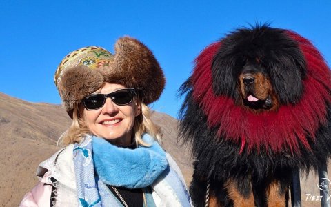 Traveler photo: By Yamdrok Lake in Shannan, Tibet, our guest takes friendly photos with a gentle Tibetan Mastiff. (January 2026)