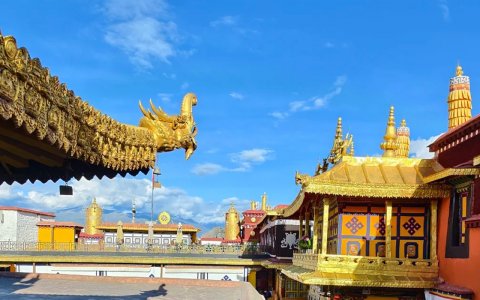 Traveler photo: Under Lhasa's blue sky, Jokhang Temple's golden roof and red walls stand in vivid contrast—a sacred heart of Tibetan Buddhism. (July 2026)
