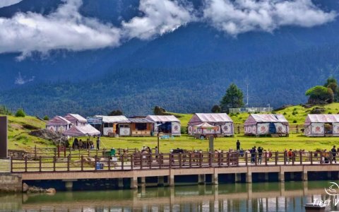 Traveler photo: Located in eastern Tibet, Nyingchi is famous in summer for its lush forests and vibrant greenery. (July 2025)