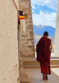 Traveler photo: In Lhasa's alleys, monks in robes and white walls meet strikingly. (July 2025)