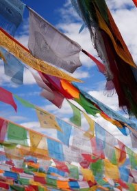 Traveler photo: Prayer flags are common in Tibet, hung at passes, bridges, and temples, each printed with sacred texts. (July 2026)