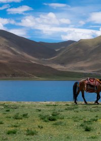Traveler photo: During a visit to Yamdrok lake, you can ride a horse along the shore of the lake and get close one of the three holy lakes in Tibet. (July 2026)	