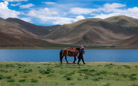 Traveler photo: During a visit to Yamdrok lake, you can ride a horse along the shore of the lake and get close one of the three holy lakes in Tibet. (July 2026)	