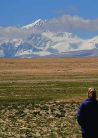 Traveler photo: Green grassland, blue skies and snow-caped mountain are the typical scenery in Tibet in July. (July 2026)