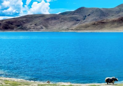 Traveler photo: Standing by Yamdrok Lake, the blue of the water and the sky nearly merge as a plateau breeze drifts by. (July 2026)