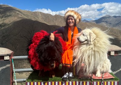Traveler photo: A guest sits between two Tibetan mastiffs, hands on their backs, smiling with pure joy and ease. (June 2026)
