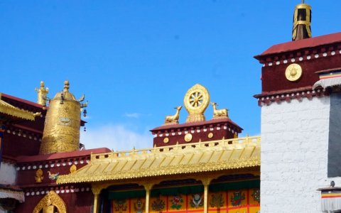 Traveler photo: Under the blue sky, Jokhang Temple's golden roof glitters—Lhasa's most dazzling sacred landmark. (June 2026)