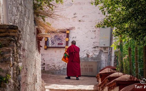 Traveler photo: Around the corner, meeting crimson robes—Lhasa's most authentic moment. (Jun 2025)