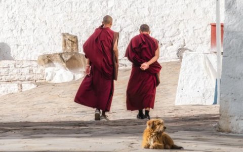 Traveler photo: Two red-robed monks walk side by side down the temple corridor, their fading figures merging into the ancient silence. (June 2026)