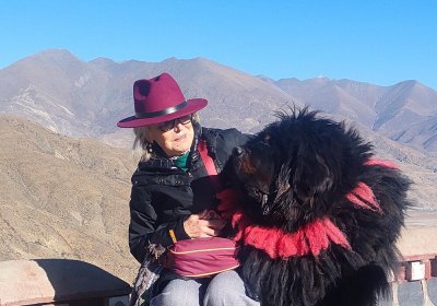 Traveler photo: On the Tibetan plateau, a guest shares a moment of warm trust with a loyal Tibetan Mastiff. (March 2026)
