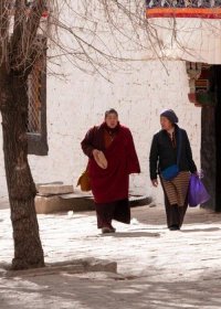 Traveler photo: In March's Tibetan sunlight, the figures of two locals blend into the everyday streetscape. (March 2026)