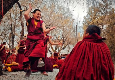 Traveler photo: During Sera's afternoon debates in Lhasa, red-robed monks explore Buddhist truths through vibrant dialectical exchanges. (March 2026)