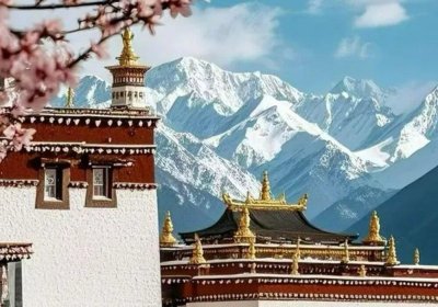 Traveler photo: The golden roof of Tibetan monastery, surrounded by the snow-peaked mountains. (March 2026)	